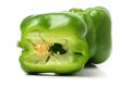 green bell pepper (capsicum) Royalty Free Stock Photo