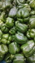 Green bell pepper Royalty Free Stock Photo