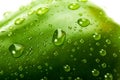 Green bell pepper with water droplets Royalty Free Stock Photo