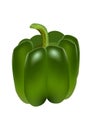 Green bell pepper, on white