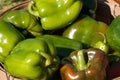 Green Bell Peppers Royalty Free Stock Photo