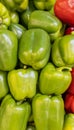 Green bell peppers in a pile ready for sale