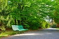 Green bench in the botanical park