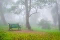 A green bench for sitting in a park on a very foggy day amazing atmosphere at Nandi Hills in Bangalore