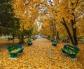 Green benches in autumn park