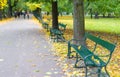 Green benches in the park against the background of trees