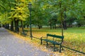 Green benches in the park against the background of trees