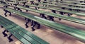 Green benches in the park