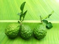 Green bergamot balls with leaves