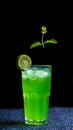 Green beverage with a slice of lime garnish served in a tall glass Royalty Free Stock Photo