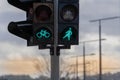 Green bicycle and pedestrian signal. Traffic light female figure shape in one of avenue in Vilnius, Lithuania