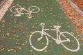 Green bicycle track Royalty Free Stock Photo