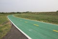 Green bicycle track Royalty Free Stock Photo