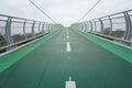 Green bike bridge to heaven nowhere