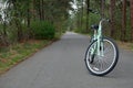 Green bike on wooded trail Royalty Free Stock Photo
