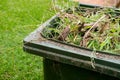 Green bin container filled with garden waste.