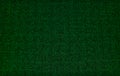 Green binary code on computer screen texture background. Royalty Free Stock Photo