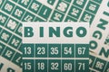 Green bingo cards