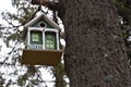 Green bird house on a tree Royalty Free Stock Photo