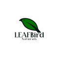 green bird leaf logo. Abstract logo bird and leaf silhouette Royalty Free Stock Photo