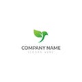 Green bird logo template Royalty Free Stock Photo