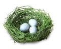 Green bird nest with blue eggs Royalty Free Stock Photo