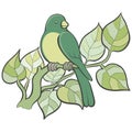 Green Bird