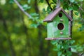 Green birdhouse hanging in tree