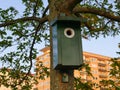 Green birdhouse near a residential area