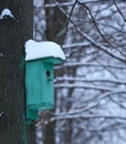 Green Birdhouse On A Tree Covered With Snow