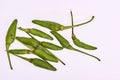 Green birds eye chillies on white