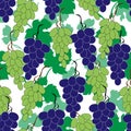 Green and black grape with leaves. Seamless pattern