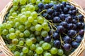 Green and black grapes