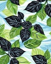 Green and Black Leaf Pattern on White Background Royalty Free Stock Photo