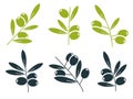 Green and black olive branches icons Royalty Free Stock Photo
