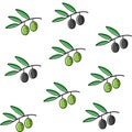 Green and black olives. Seamless pattern in vector design. Royalty Free Stock Photo