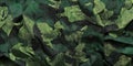 Green and black patterned fabric with a leafy design Royalty Free Stock Photo