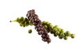 Green and black peppercorns Royalty Free Stock Photo