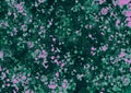 Green black pink antique old background with blur, gradient and watercolor texture. Royalty Free Stock Photo