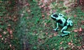 Green and black poison dart frog Dendrobates auratus Royalty Free Stock Photo