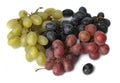 Green,black and red grape Royalty Free Stock Photo