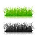 Green and black silhouette grass isolated on white background. Vector illustration Royalty Free Stock Photo