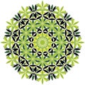 Green and black vector mandala Royalty Free Stock Photo