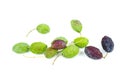 Green and black withered olive fruits isolated on white Royalty Free Stock Photo