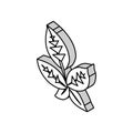 green blackberry leaf isometric icon vector illustration Royalty Free Stock Photo