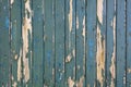 Green bladdered stable doors of a farm Royalty Free Stock Photo