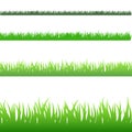 Green Blades of Grass Royalty Free Stock Photo