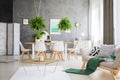 Multifunctional apartment with ferns Royalty Free Stock Photo