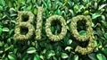 Green Blog concept creative art poster. Royalty Free Stock Photo