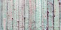 Green blue ancient Grunge Wooden retro Background pastel wood planks texture